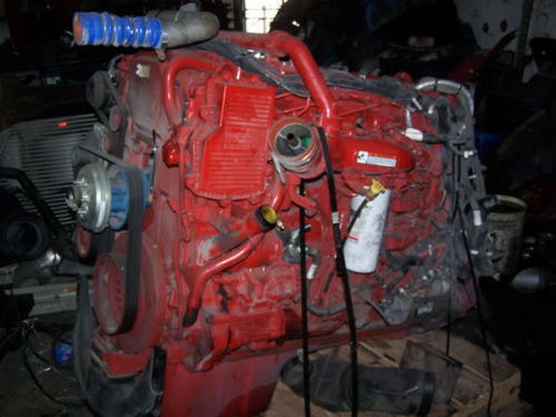 Cummins thumbnail