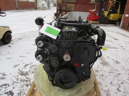 Cummins thumbnail